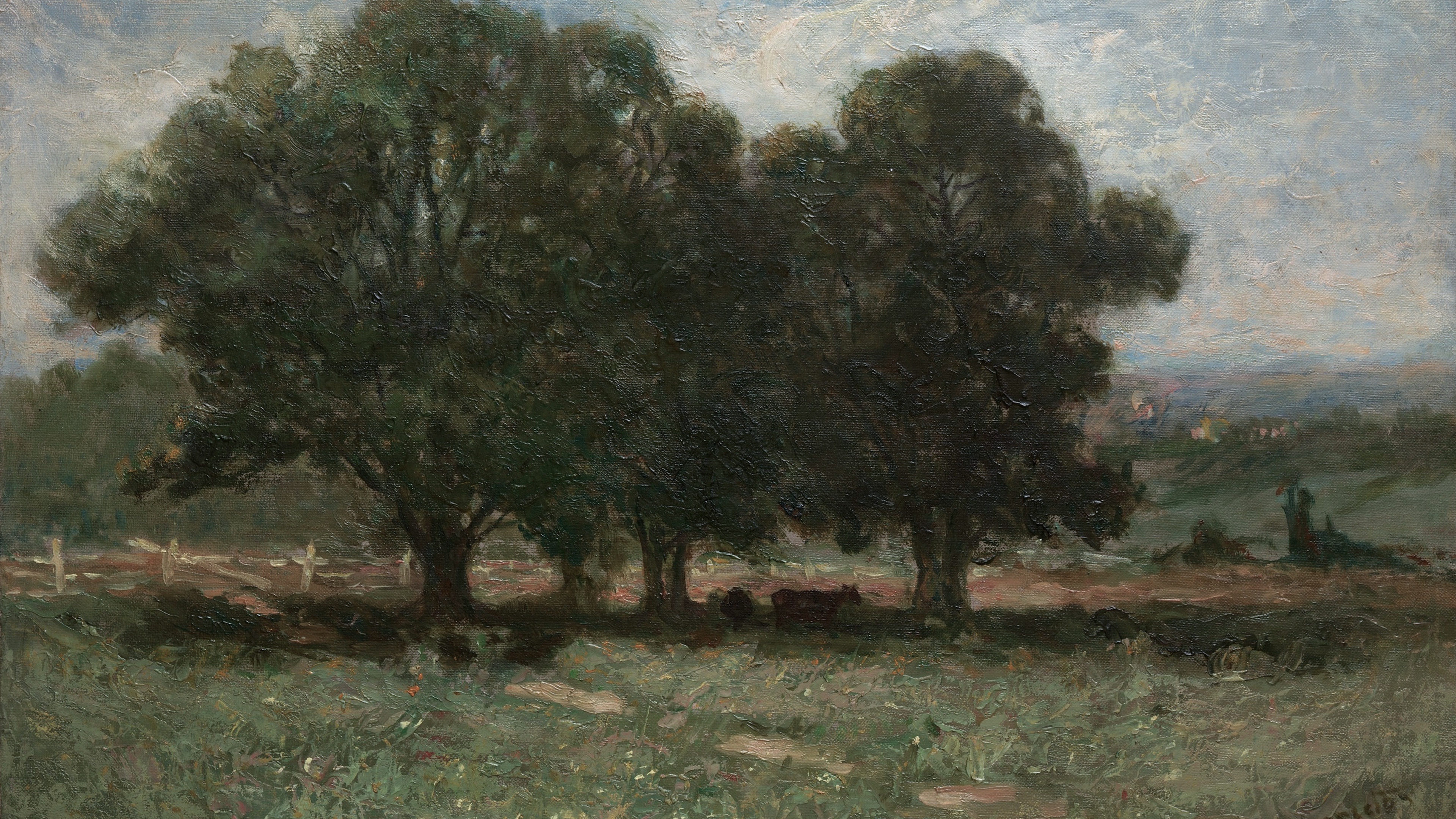 Shadowed Valley Grove