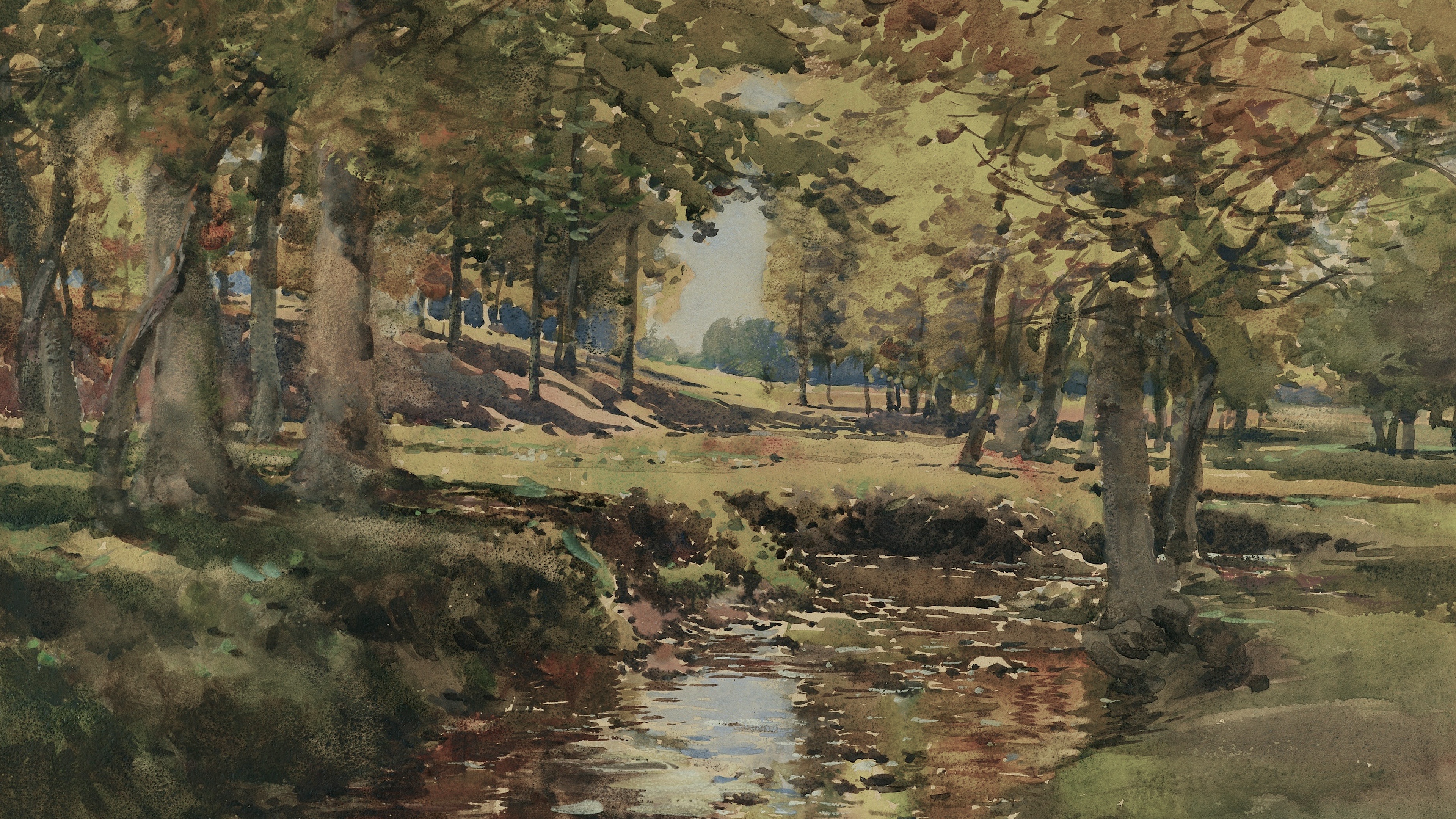 Shadowed Woodland Stream