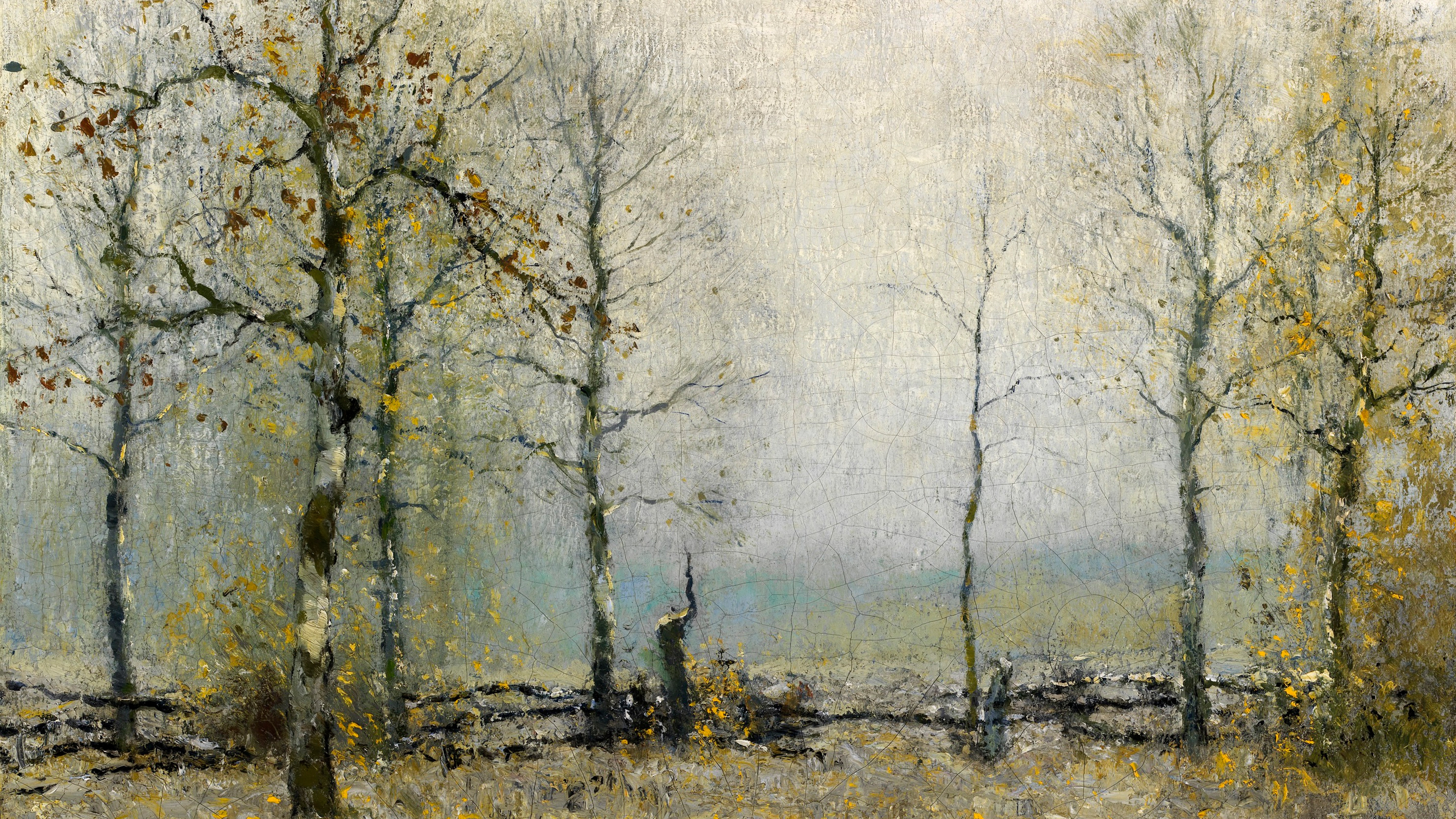 Silent Birch Mist