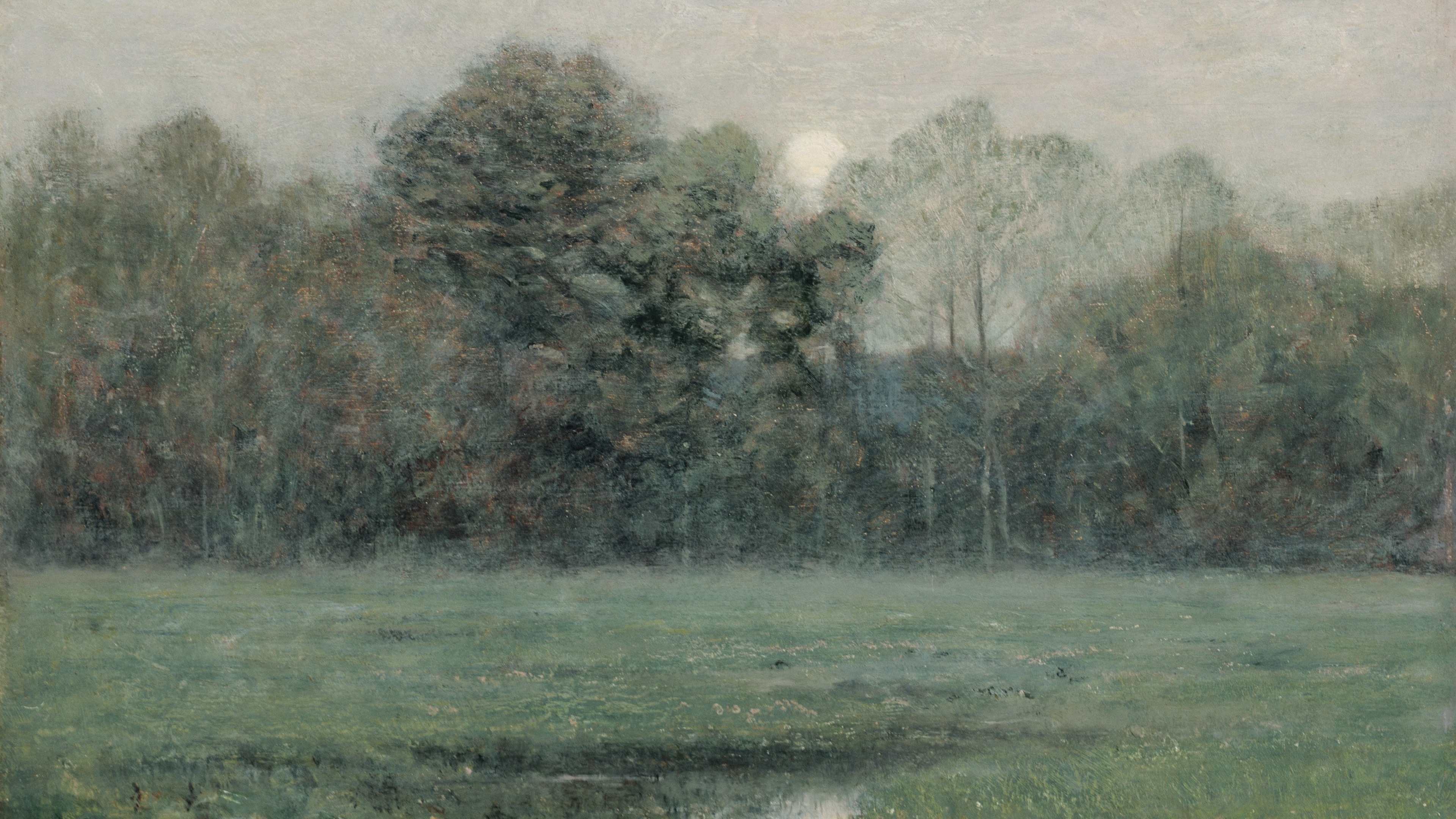 Silent Moon Meadow
