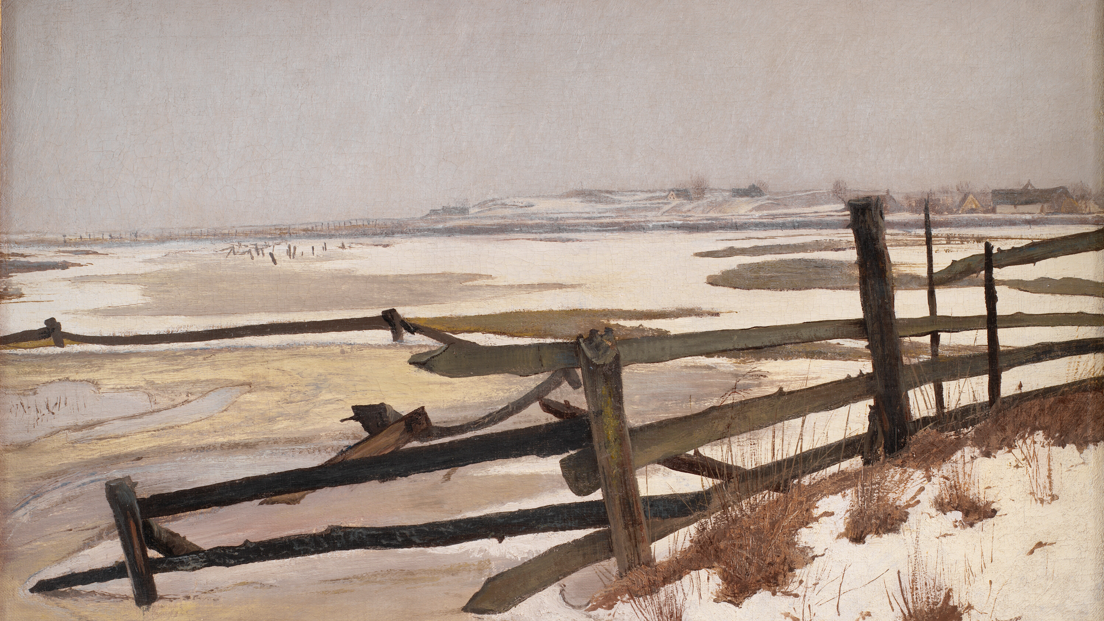 Silent Winter Marsh