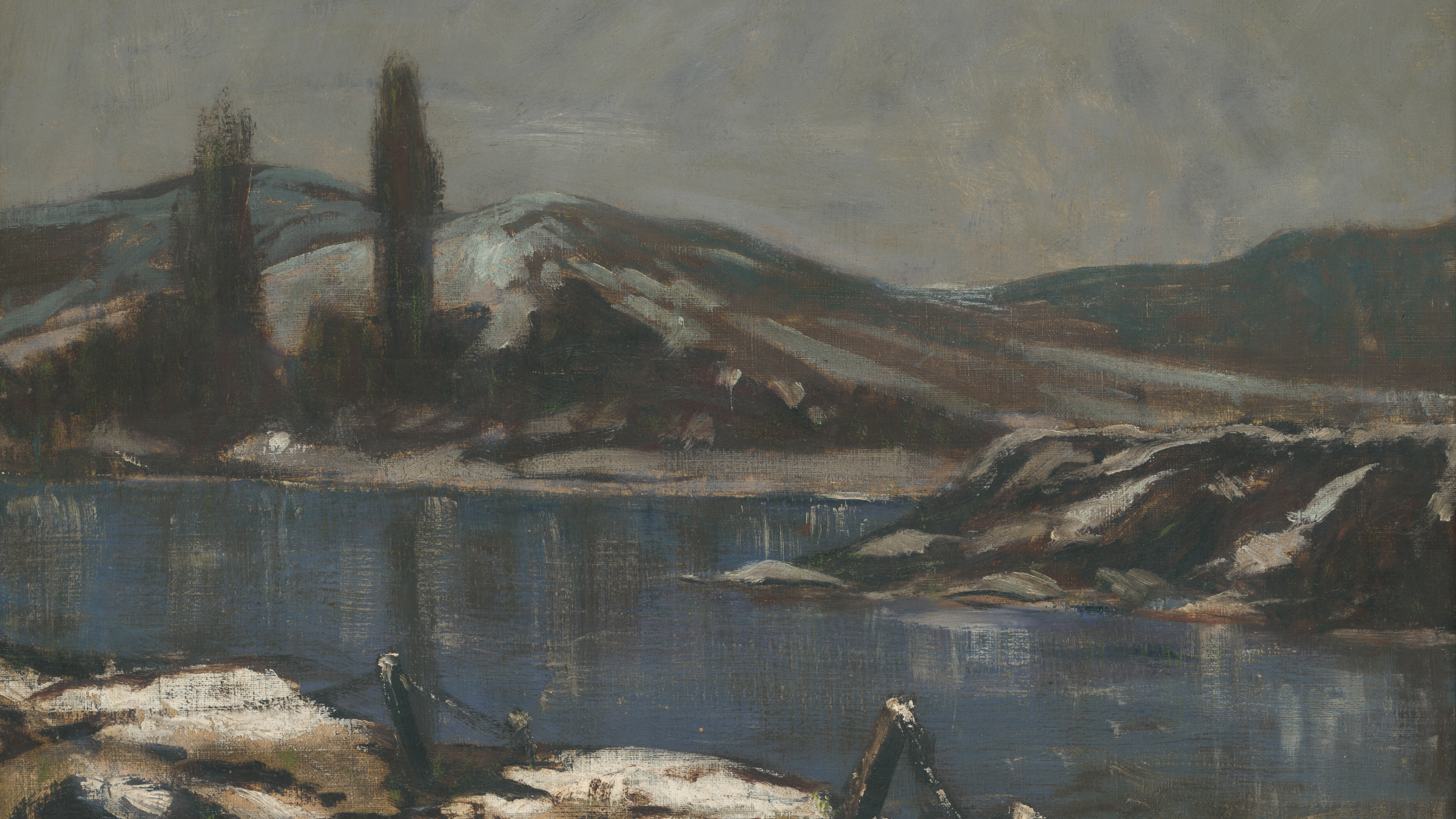 Silent Winter Shore