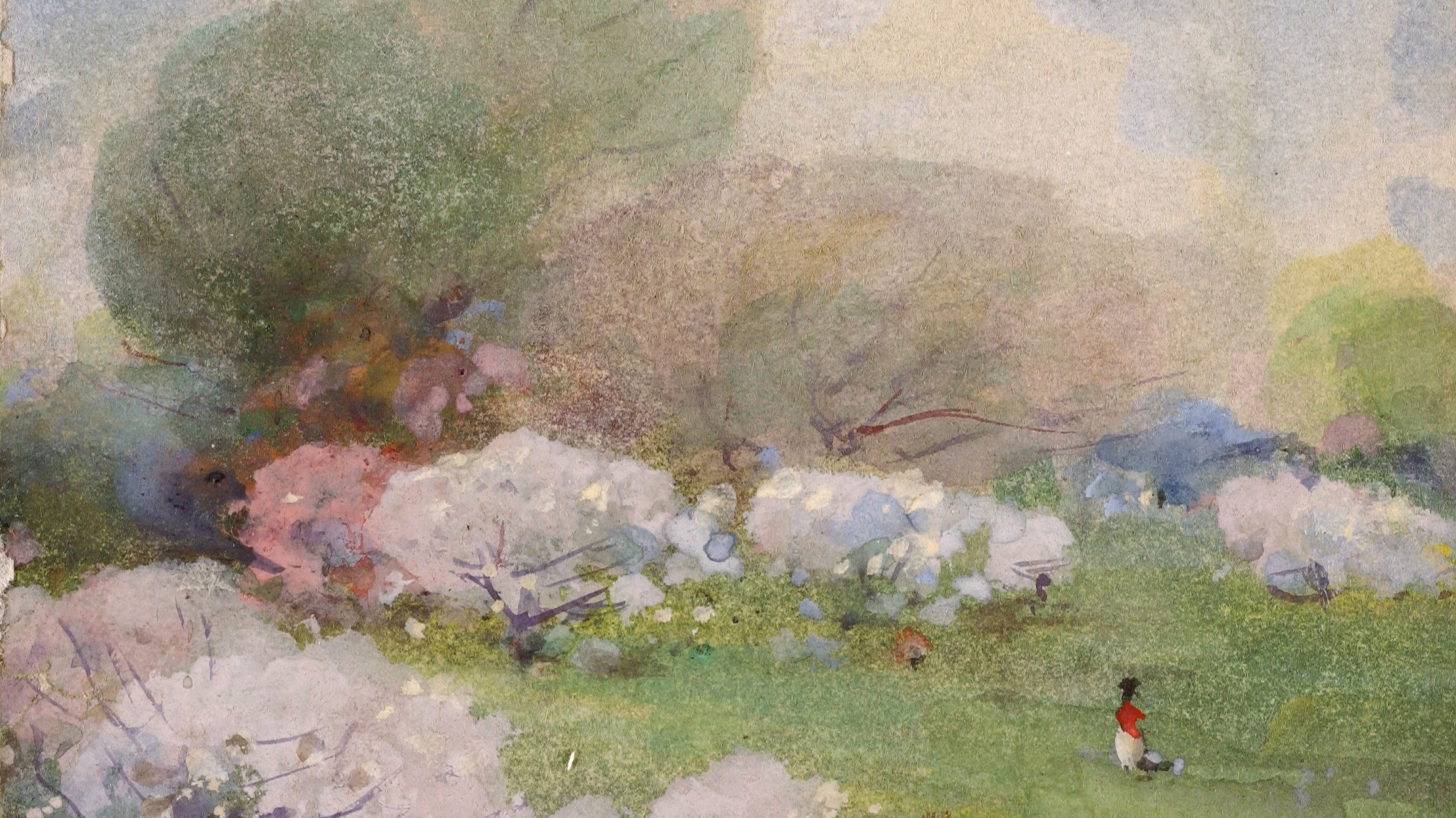 Soft Meadow Light