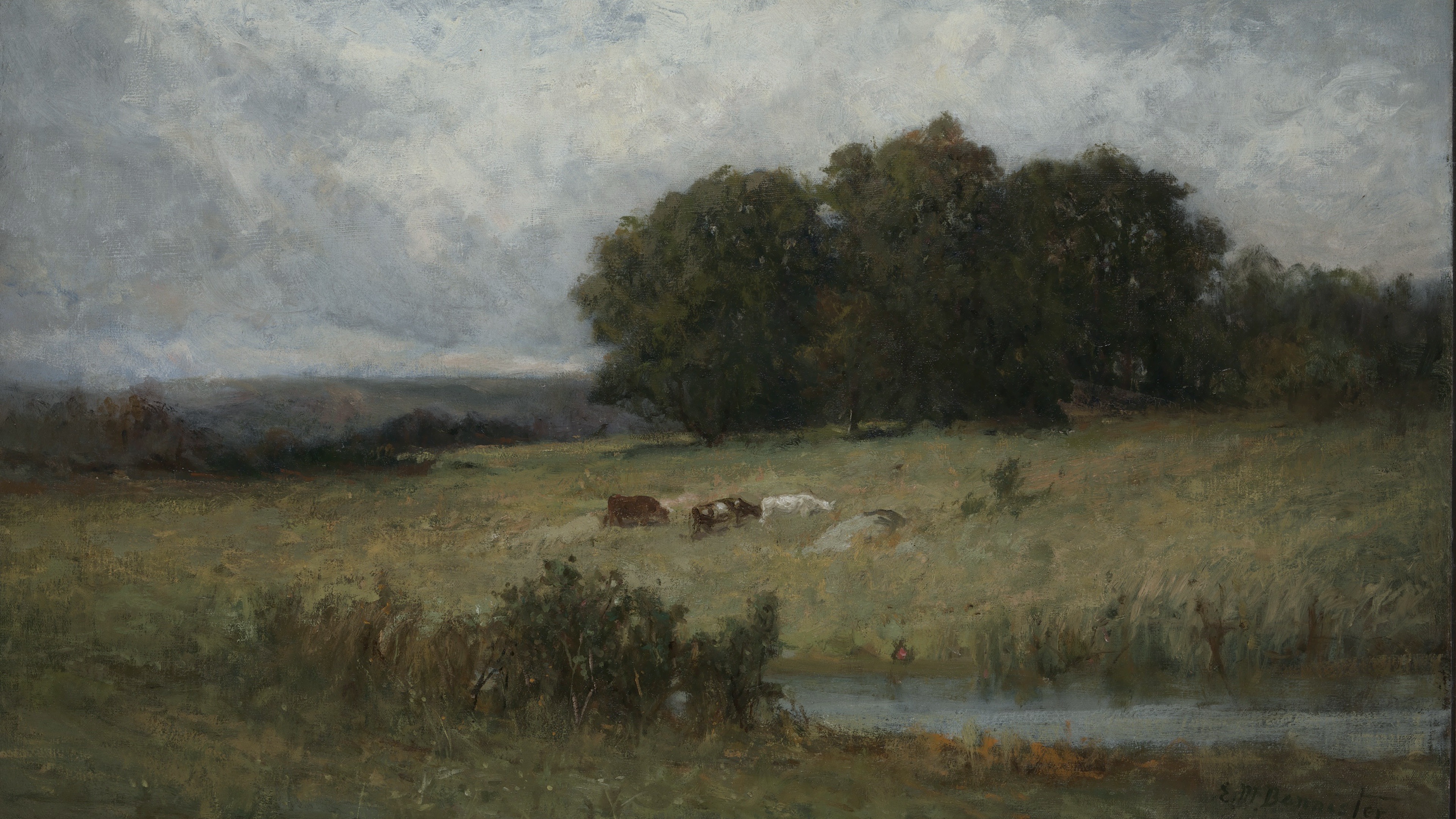 Somber Country Pasture