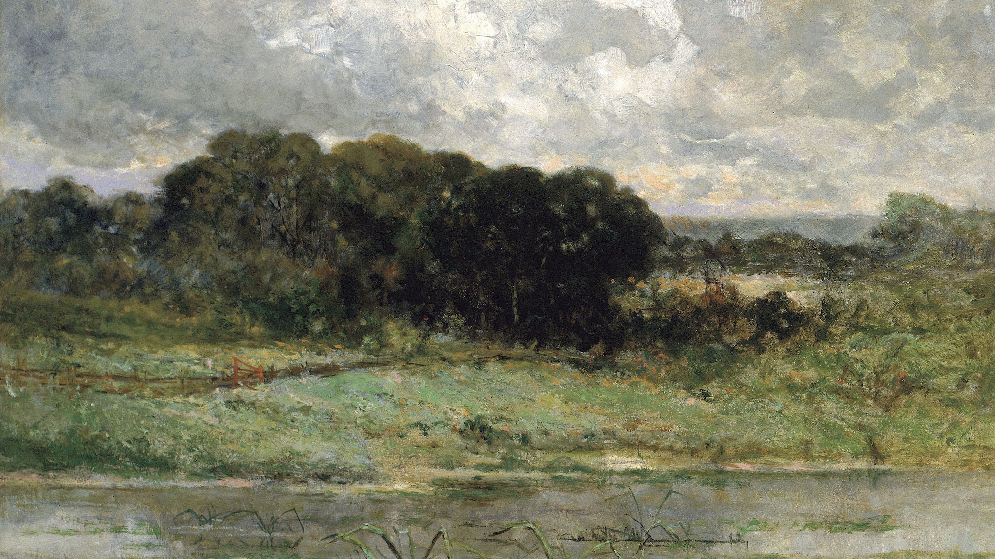 Sombre River Meadow