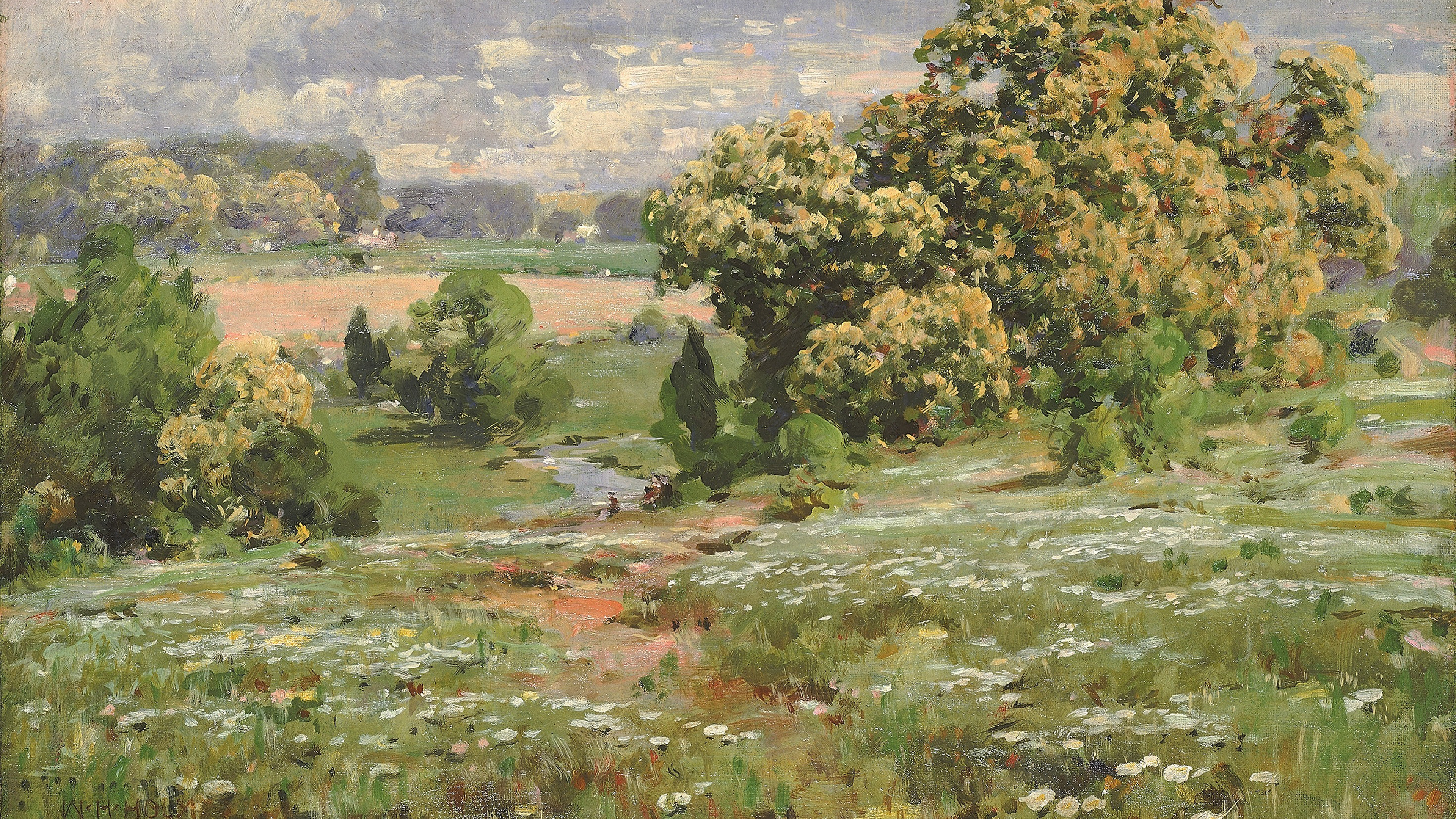 Summer Horizon Meadow