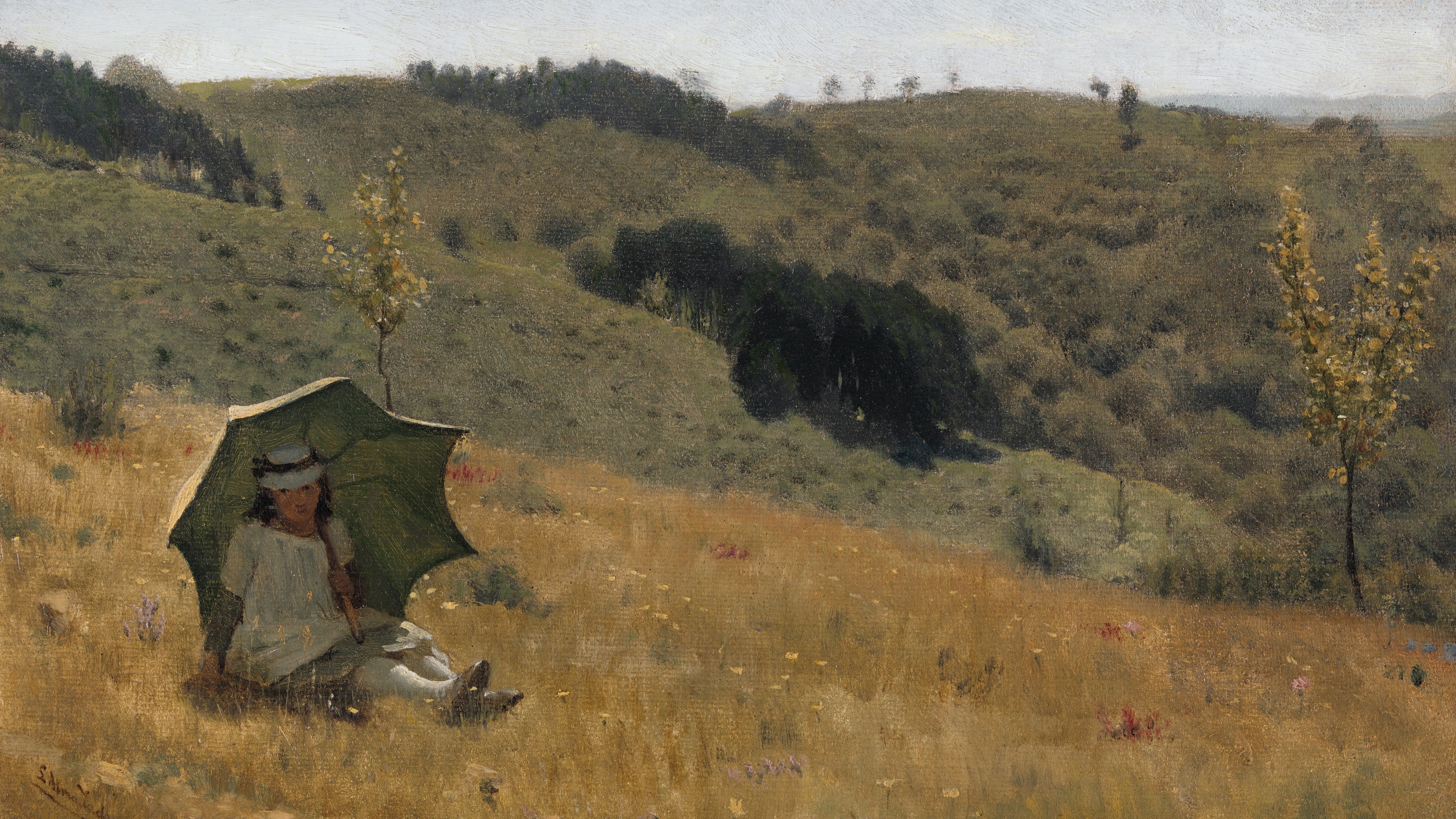 Sunlit Hilltop Solitude