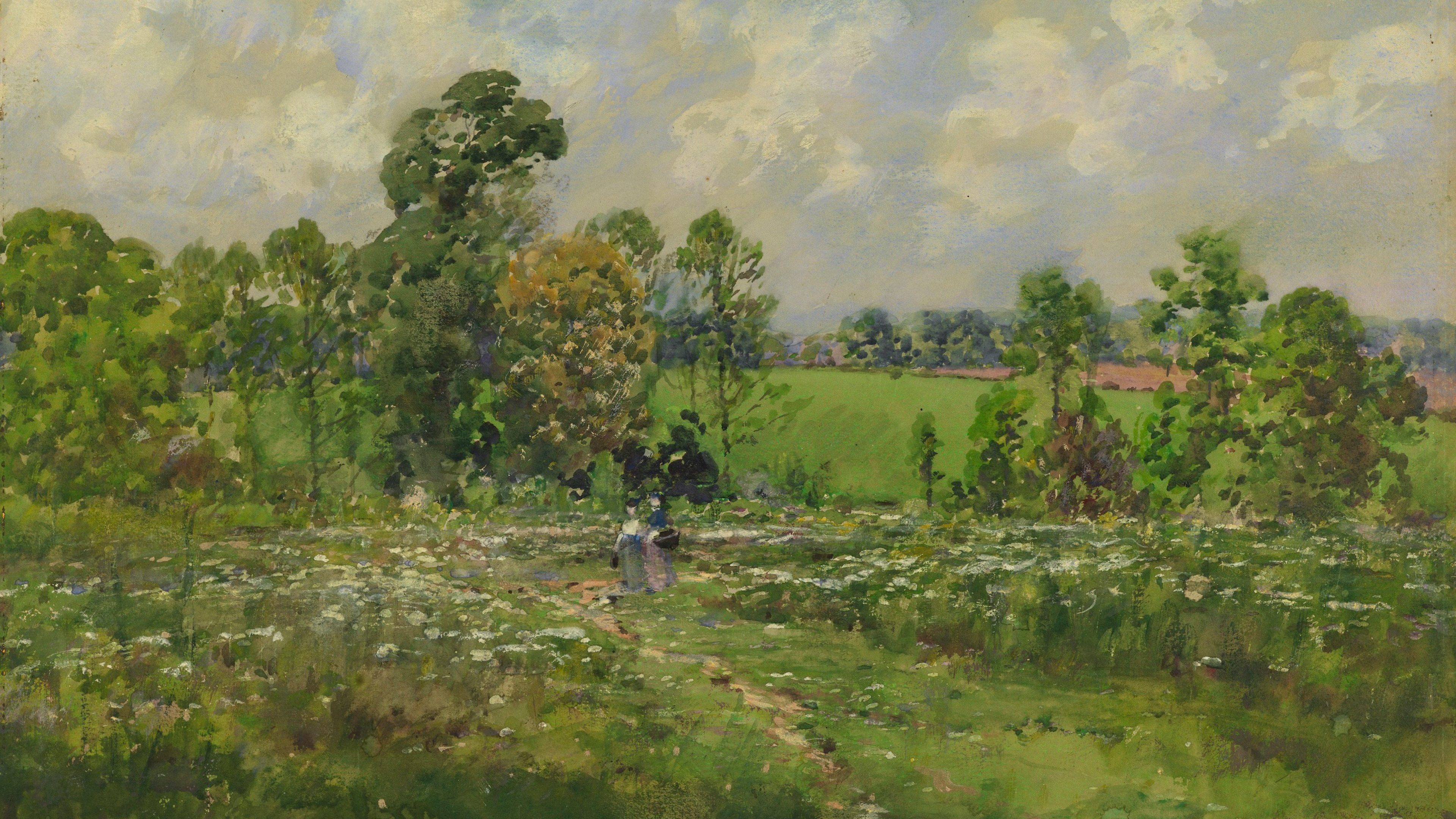 Sunlit Meadow Path