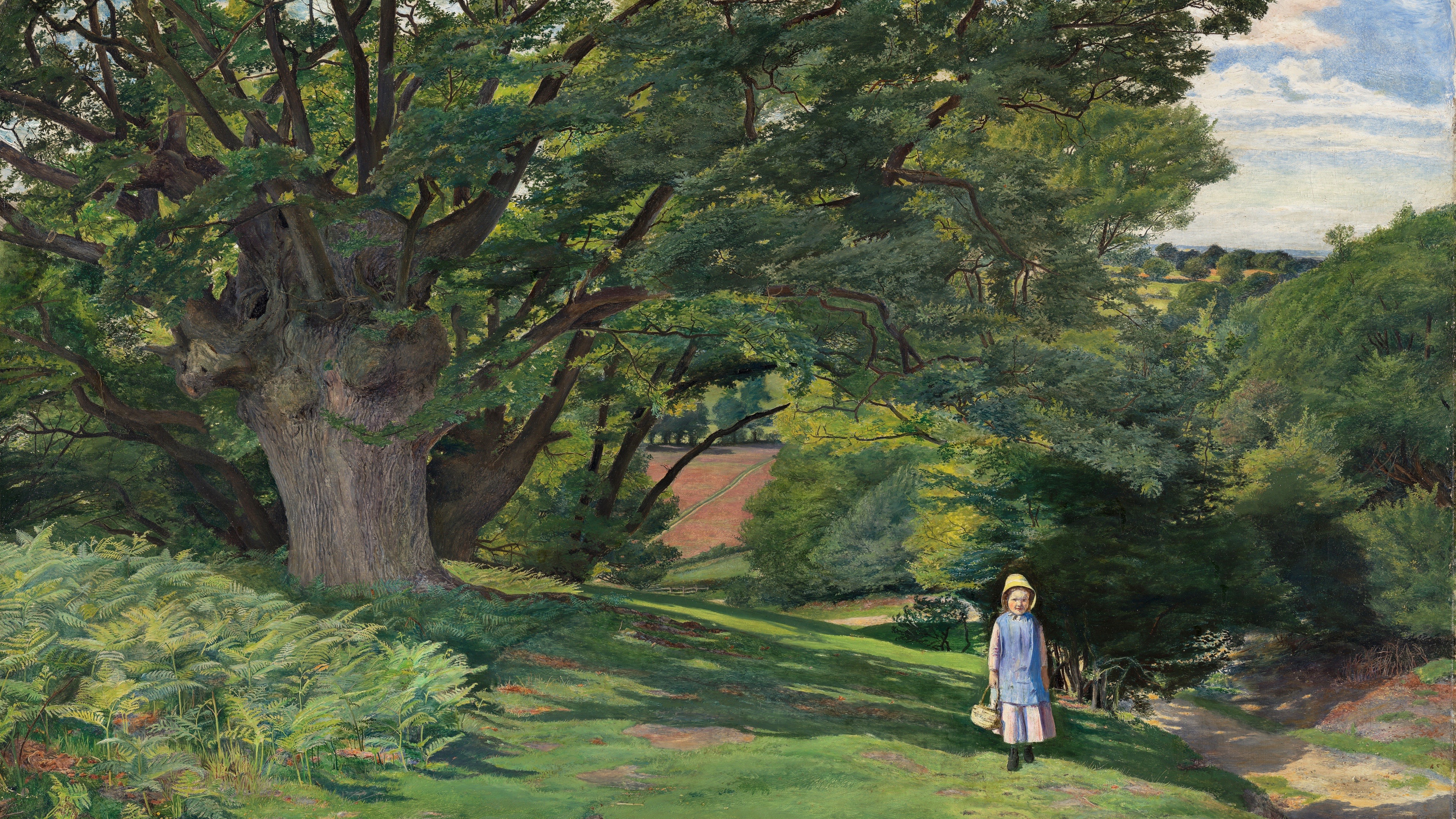 The Ancient Canopy