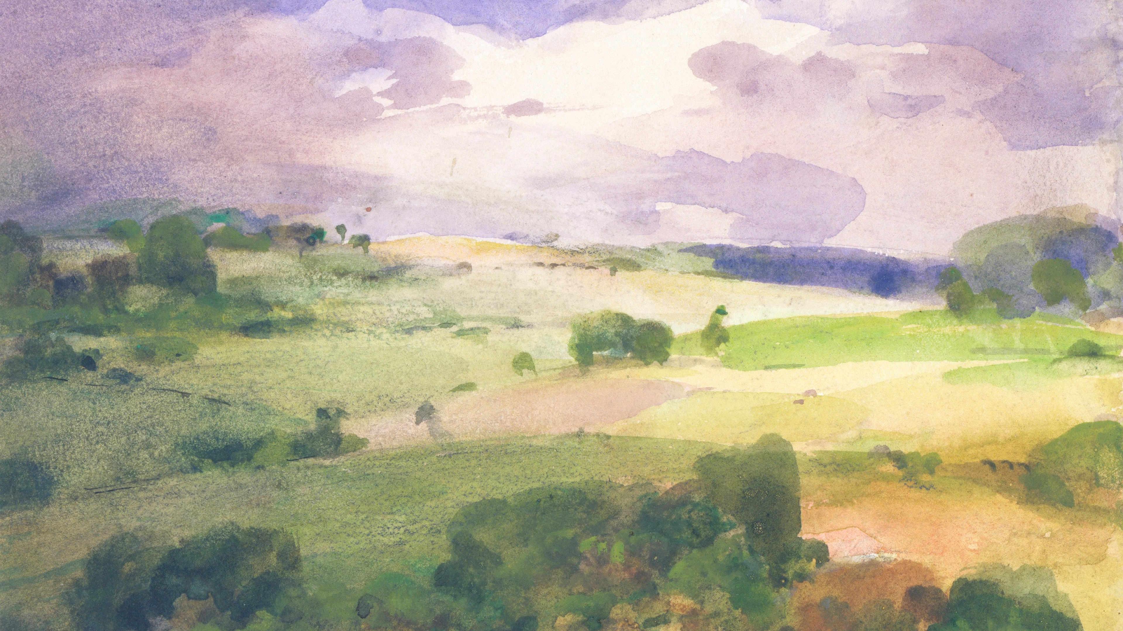 Twilight Meadow Vista