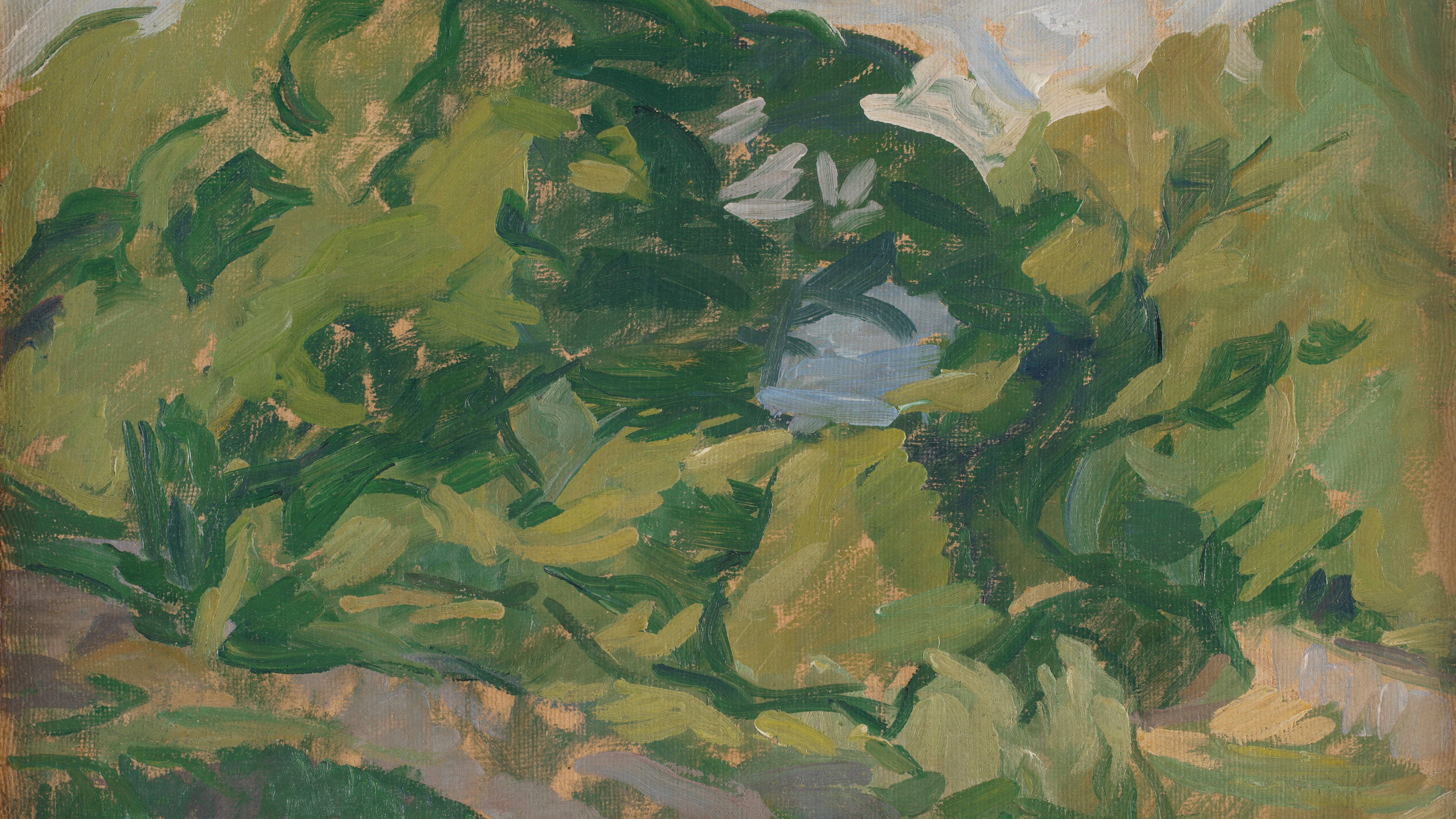 Verdant Brushwood Study