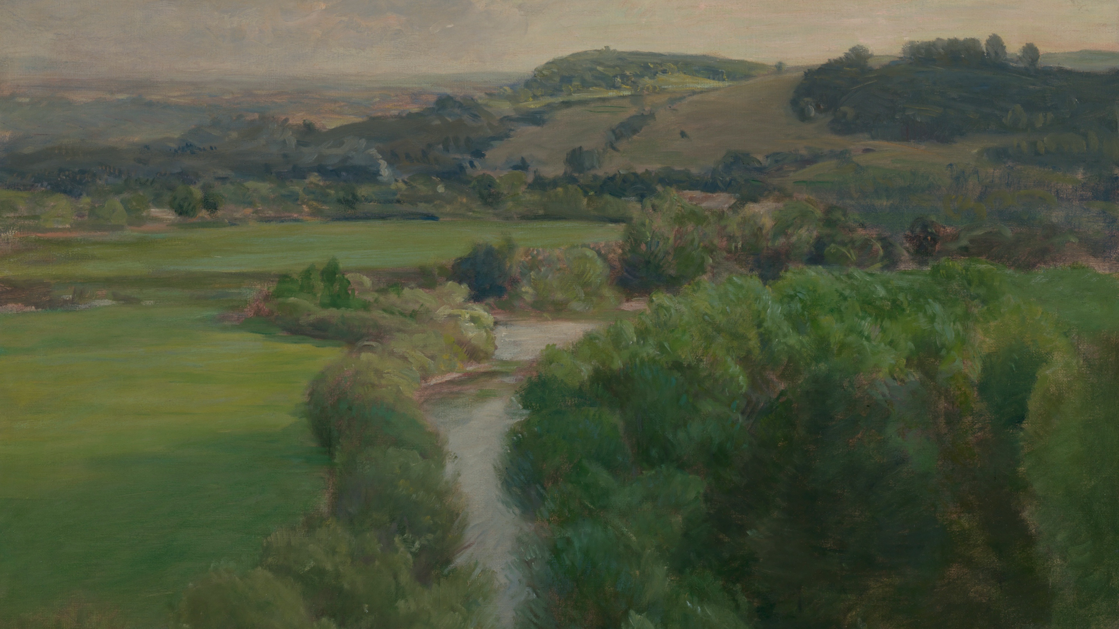 Verdant River Valley