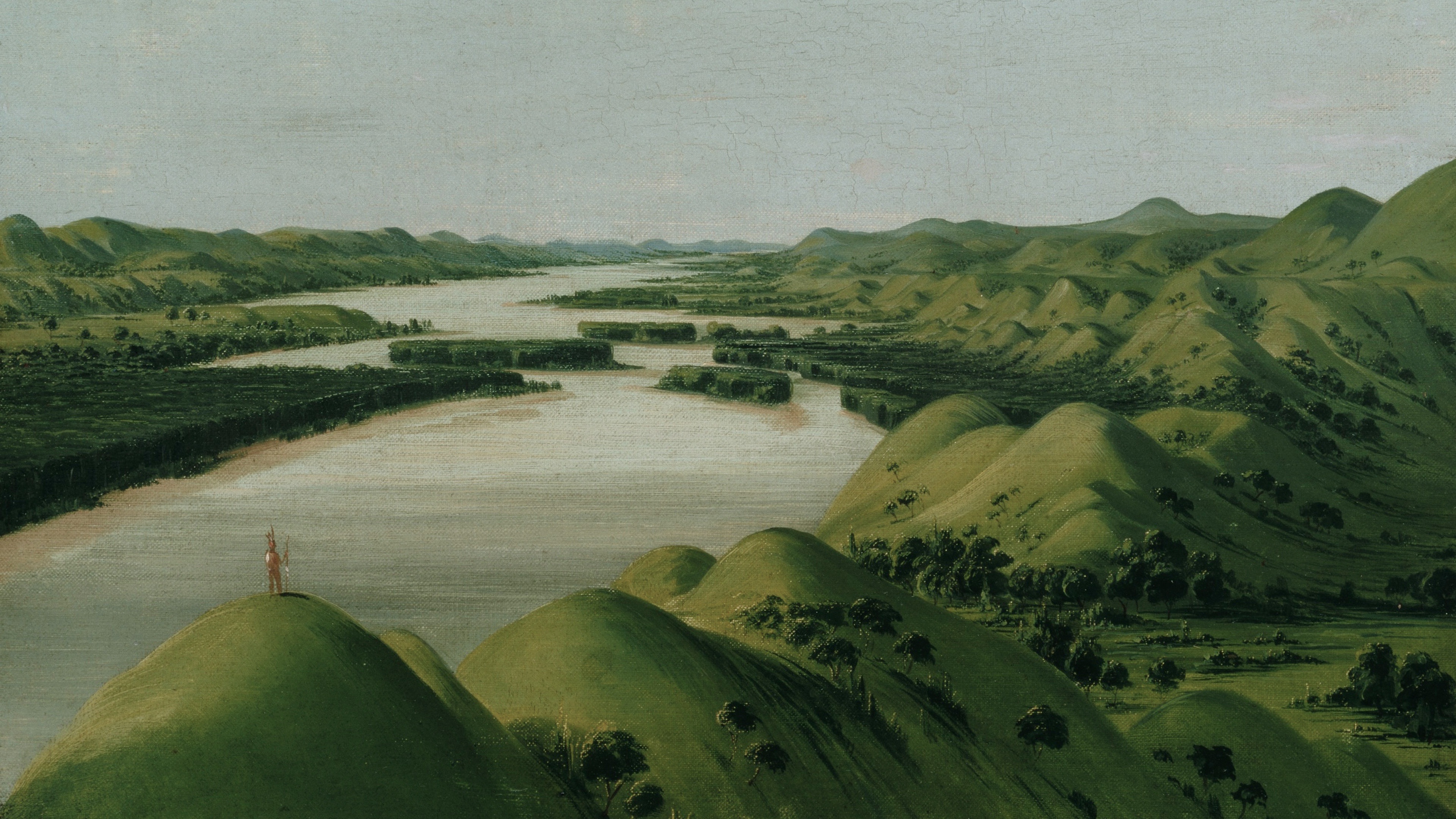 Verdant River Vista