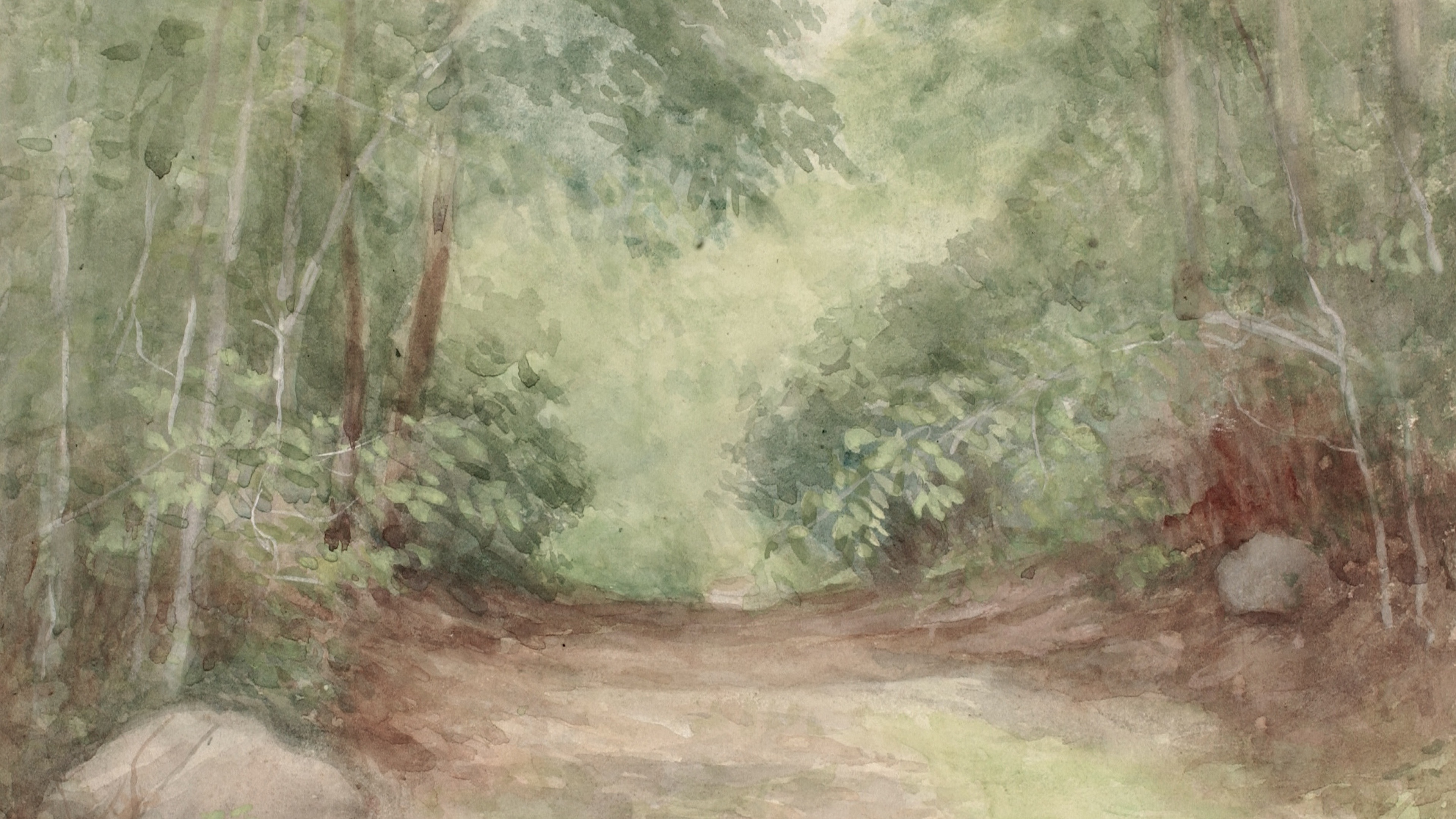 Whispering Canopy Path