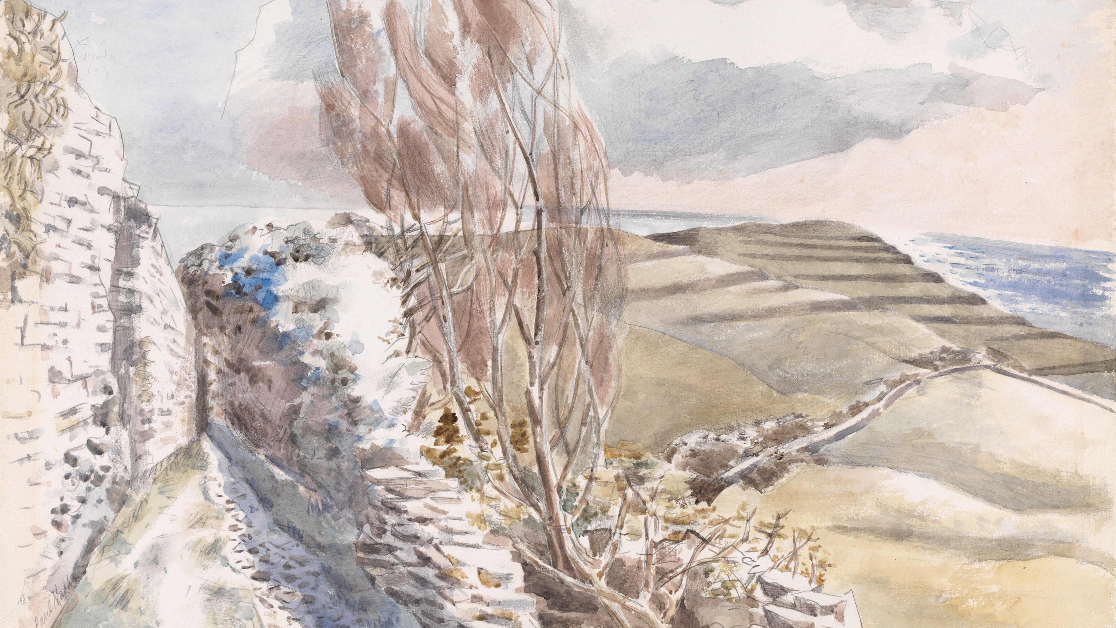 Windswept Coastal Ridge